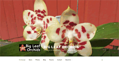 Desktop Screenshot of bigleaforchids.com