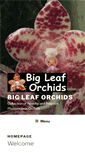 Mobile Screenshot of bigleaforchids.com
