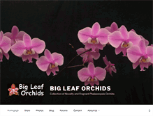 Tablet Screenshot of bigleaforchids.com